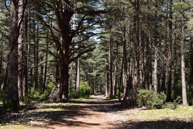 Sud Luberon Villa Ansouis Kültér fotó